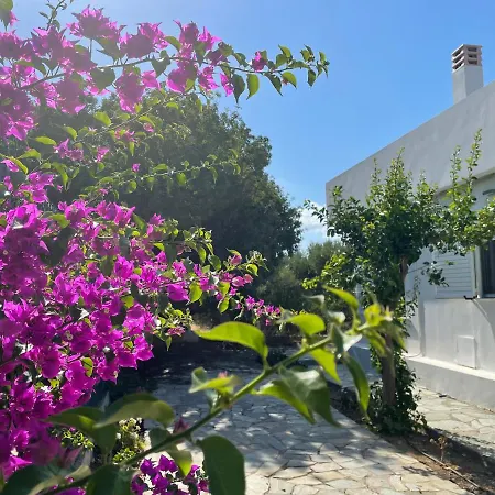 Pera Casa Apartment Hersonissos  Exterior photo
