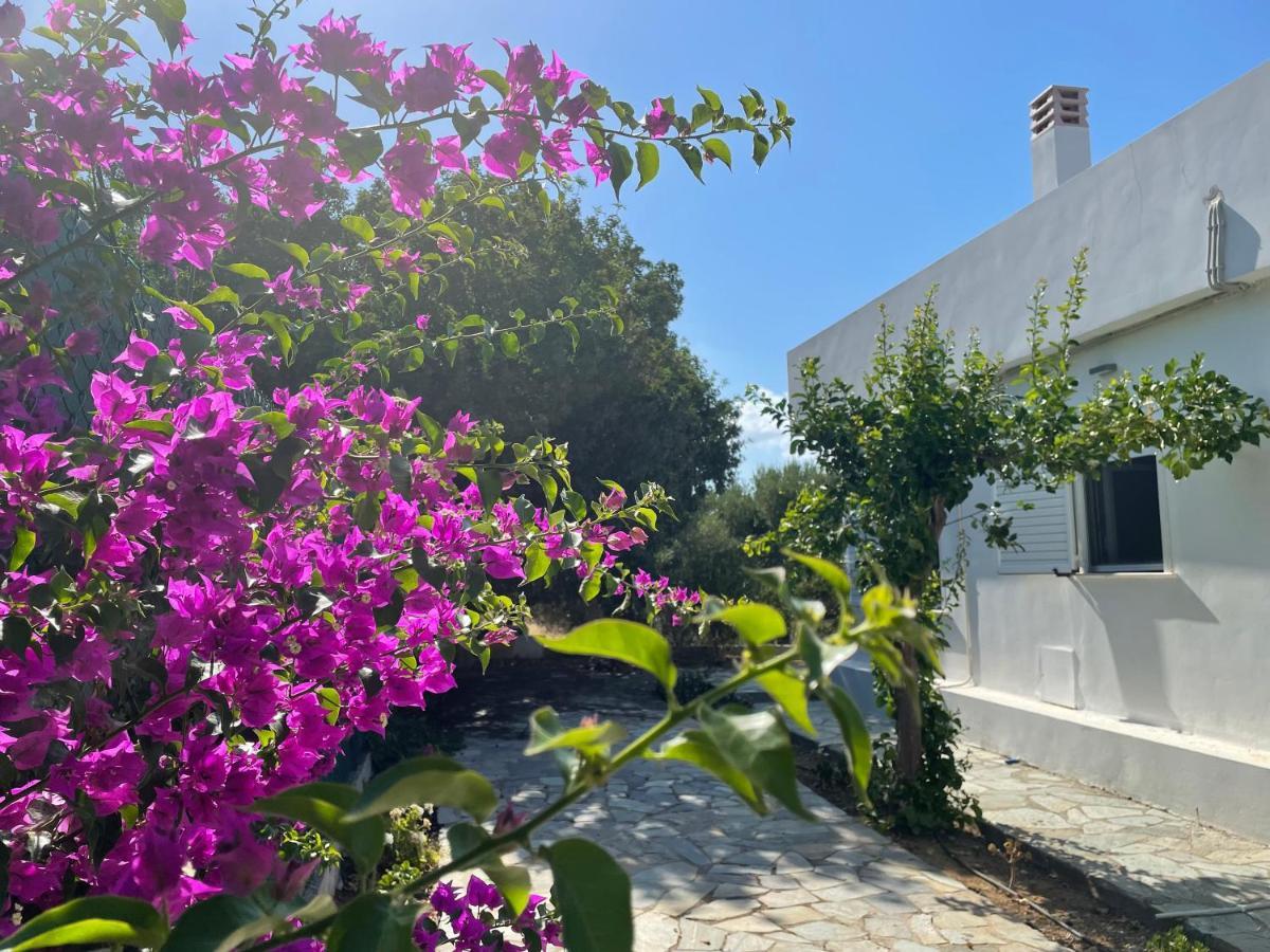 Pera Casa Hersonissos (Crete)